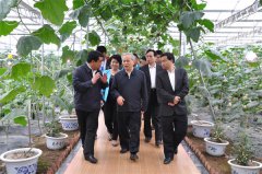 脱贫大决战:贵州大扶贫