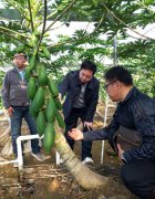 脱贫大决战:贵州大扶贫