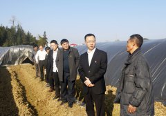 贵州凤冈县:锌硒茶乡 康