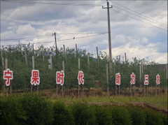 果园卫士显身手,科技实